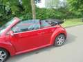 Volkswagen New Beetle Cabriolet 1.6 Highline/stoelverw/distr net vervang Rot - thumbnail 6