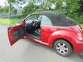 Volkswagen New Beetle Cabriolet 1.6 Highline/stoelverw/distr net vervang Rot - thumbnail 3