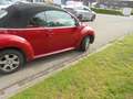 Volkswagen New Beetle Cabriolet 1.6 Highline/stoelverw/distr net vervang Rot - thumbnail 5