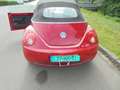 Volkswagen New Beetle Cabriolet 1.6 Highline/stoelverw/distr net vervang Rot - thumbnail 4