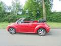 Volkswagen New Beetle Cabriolet 1.6 Highline/stoelverw/distr net vervang Rot - thumbnail 1