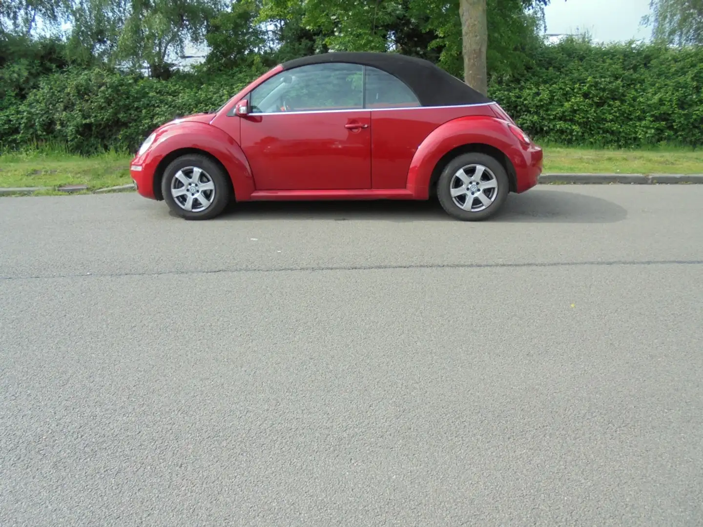Volkswagen New Beetle Cabriolet 1.6 Highline/stoelverw/distr net vervang Rot - 2