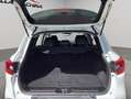 Renault Kadjar 1.7dCi Blue Zen 4x2 110kW Blanco - thumbnail 21