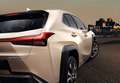 Lexus UX 250h Business 2WD Blanco - thumbnail 24