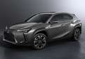 Lexus UX 250h Business 2WD Blanco - thumbnail 31