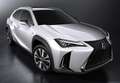 Lexus UX 250h Business 2WD Blanco - thumbnail 34