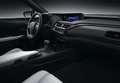 Lexus UX 250h Business 2WD Blanco - thumbnail 21
