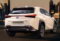Lexus UX 250h Business 2WD Blanco - thumbnail 25