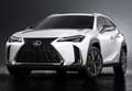 Lexus UX 250h Business 2WD Blanco - thumbnail 36
