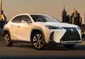 Lexus UX 250h Business 2WD Blanco - thumbnail 7