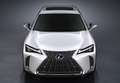 Lexus UX 250h Business 2WD Blanco - thumbnail 3