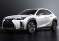 Lexus UX 250h Business 2WD Blanco - thumbnail 8