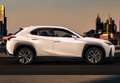 Lexus UX 250h Business 2WD Blanco - thumbnail 28