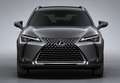 Lexus UX 250h Business 2WD Blanco - thumbnail 1