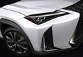 Lexus UX 250h Business 2WD Blanco - thumbnail 40