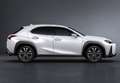 Lexus UX 250h Business 2WD Blanco - thumbnail 16