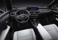 Lexus UX 250h Business 2WD Blanco - thumbnail 41