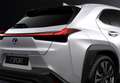 Lexus UX 250h Business 2WD Blanco - thumbnail 42