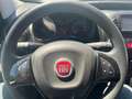 Fiat Fiorino 1.3 MJT 95CV Cargo - PREZZO REALE Bianco - thumbnail 8