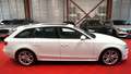 Audi S4 Avant 3.0 TFSI Quattro *Panorama* Белый - thumbnail 4