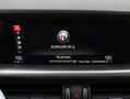 Alfa Romeo Stelvio 2.2 t Executive Q4 210cv auto✔️TETTO APRIBILE Чорний - thumbnail 38