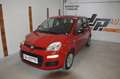 Fiat Panda 1,2 **1.Besitz**neues Pickerl**22.000KM** Rot - thumbnail 5