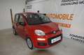 Fiat Panda 1,2 **1.Besitz**neues Pickerl**22.000KM** Rot - thumbnail 1