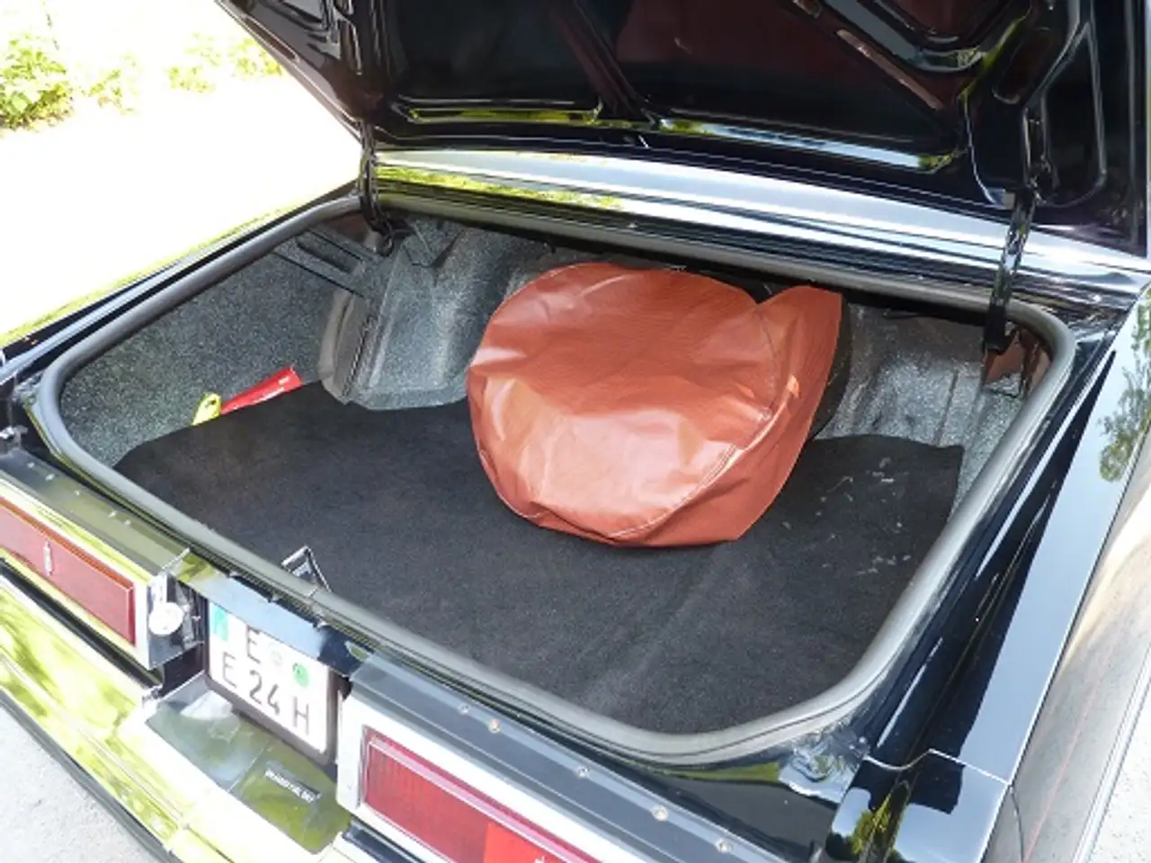 Oldsmobile Delta 88 Royal Coupe, foto 9
