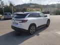 Renault Austral Full Hybrid E-Tech 200 CV Techno Bianco - thumbnail 4