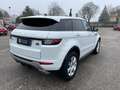 Land Rover Range Rover Evoque 2.0 TD4 150 CV 5p. SE Dynamic Weiß - thumbnail 11