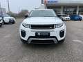 Land Rover Range Rover Evoque 2.0 TD4 150 CV 5p. SE Dynamic Weiß - thumbnail 7
