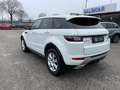 Land Rover Range Rover Evoque 2.0 TD4 150 CV 5p. SE Dynamic Weiß - thumbnail 13
