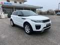 Land Rover Range Rover Evoque 2.0 TD4 150 CV 5p. SE Dynamic Weiß - thumbnail 6
