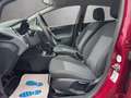 Ford Fiesta 1.2 i Trend Garagenwagen ab 159,- Violett - thumbnail 10