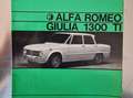 Alfa Romeo Giulia 1.3 Ti Wit - thumbnail 34