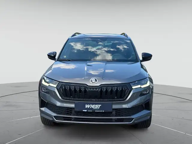 Skoda Karoq view 2