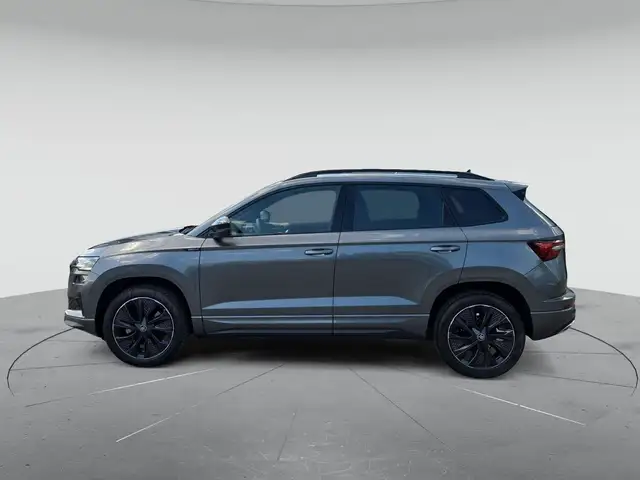 Skoda Karoq view 6