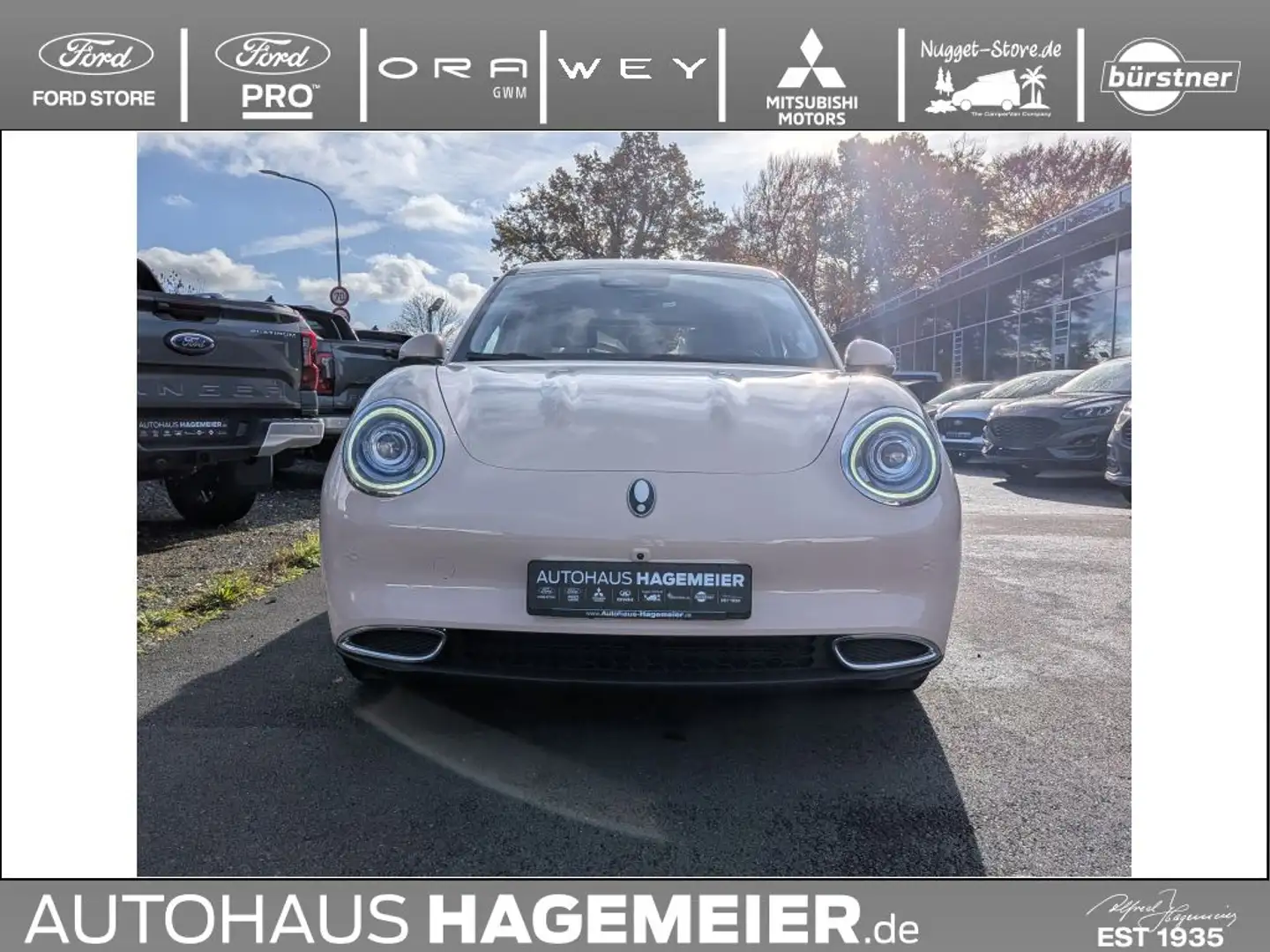 GWM ORA 03 ORA 03 300 Pro >>ehemalige UPE: 42.580 EUR<< Beige - 2