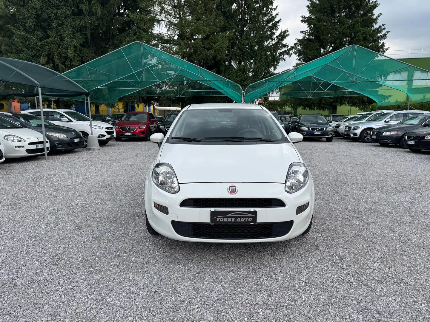 Fiat Punto Punto 5p 1.3 mjt N1 Bianco - 2