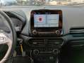 Ford EcoSport 1.0 ecoboost ST-Line s&s 125 CV my20.25 Grigio - thumbnail 14