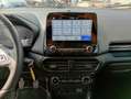 Ford EcoSport 1.0 ecoboost ST-Line s&s 125 CV my20.25 Grigio - thumbnail 11