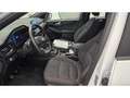 Ford Kuga 2.0 EcoBlue Hybrid ST-Line AHK SpoSi StHz Key Lane Bianco - thumbnail 8