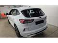 Ford Kuga 2.0 EcoBlue Hybrid ST-Line AHK SpoSi StHz Key Lane Bianco - thumbnail 7
