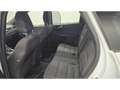 Ford Kuga 2.0 EcoBlue Hybrid ST-Line AHK SpoSi StHz Key Lane Bianco - thumbnail 11