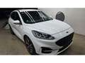 Ford Kuga 2.0 EcoBlue Hybrid ST-Line AHK SpoSi StHz Key Lane Bianco - thumbnail 6