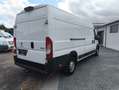 Peugeot Boxer KastenL4H2 Pro BlueHDi,KLIMA,PDC,KAMERA, Alb - thumbnail 6