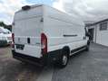 Peugeot Boxer KastenL4H2 Pro BlueHDi,KLIMA,PDC,KAMERA, Alb - thumbnail 5