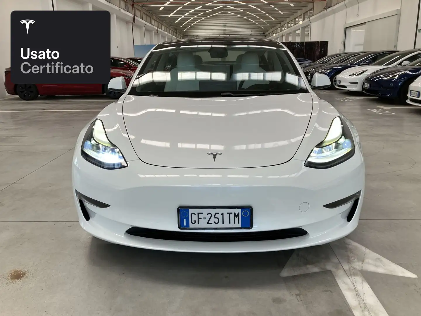 Tesla Model 3 Performance Wit - 2