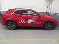 Lexus UX 300h 4WD F-SPORT MY24 IVA ESPOSTA KM0 Rosso - thumbnail 6