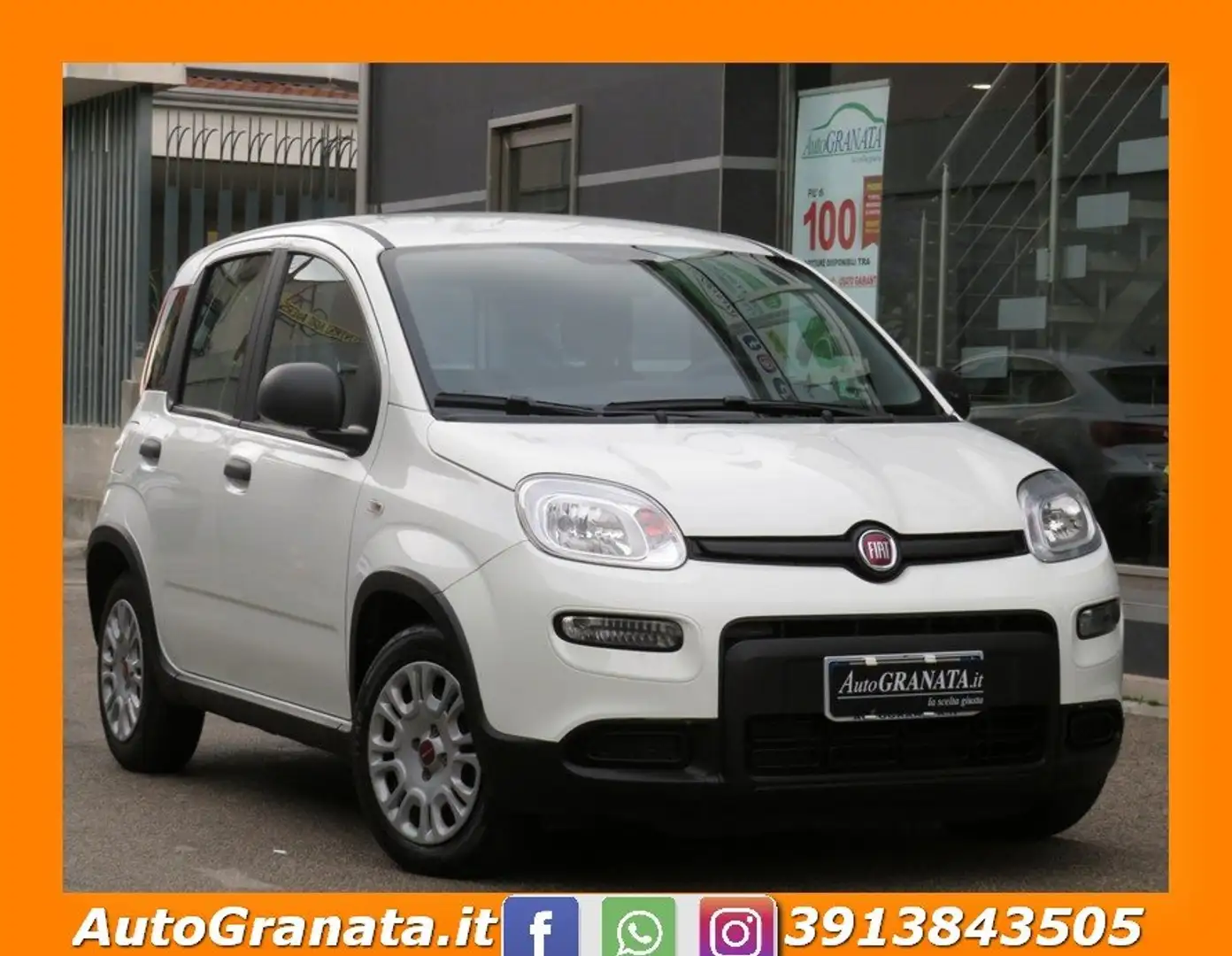 Fiat Panda 1.0 FireFly 70cv S&S Hybrid Weiß - 2